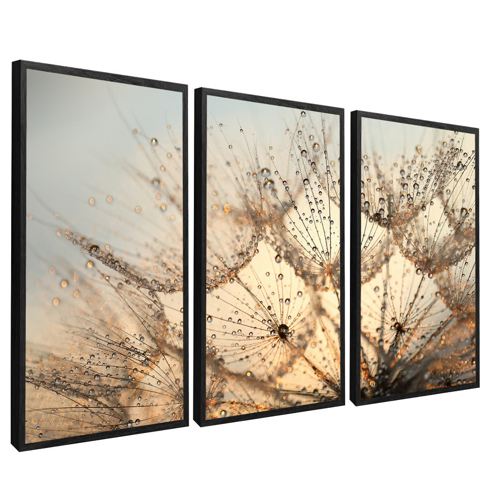 Dandelion Trio V2201 Canvas