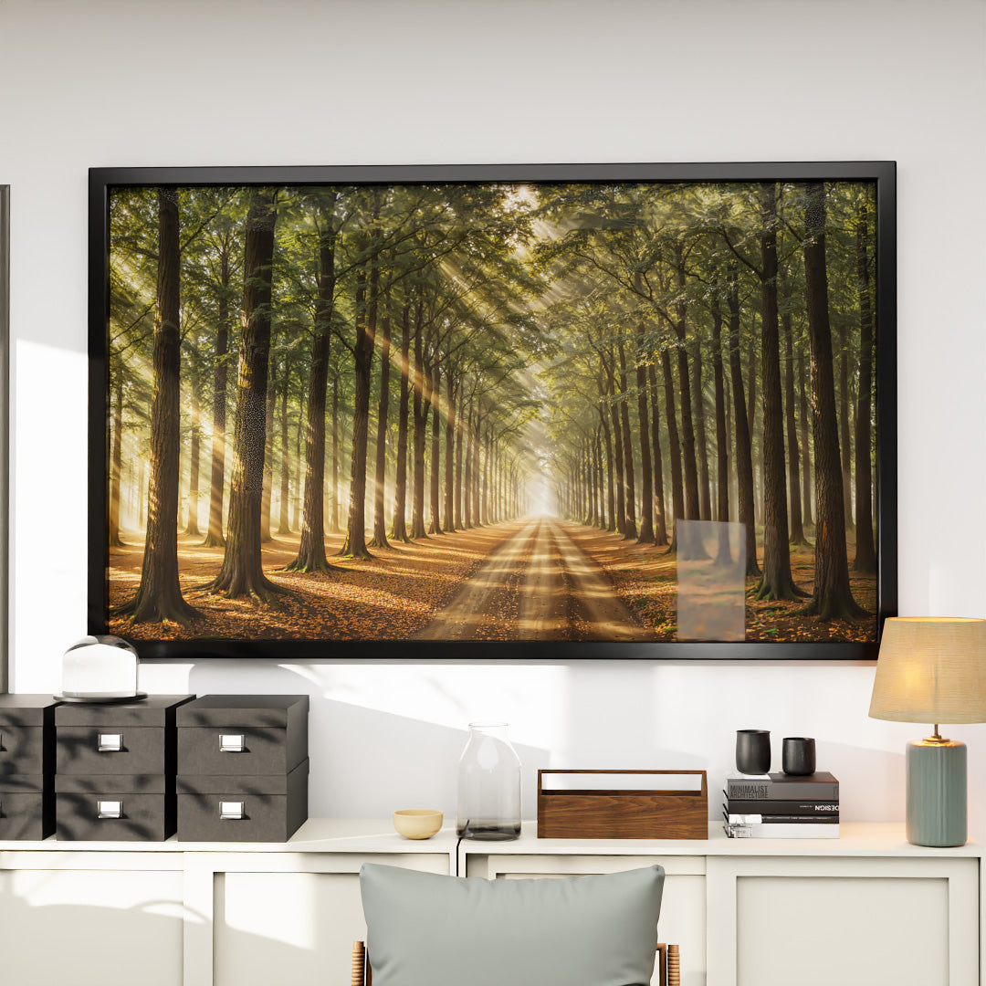 Path in the Forest V2410 Canvas