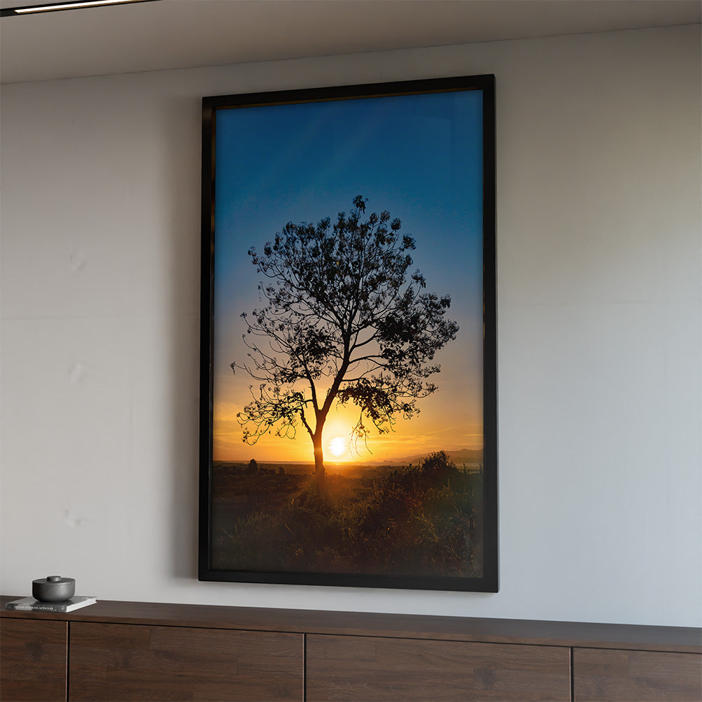 Tree at Sunset V2 V2346 Canvas