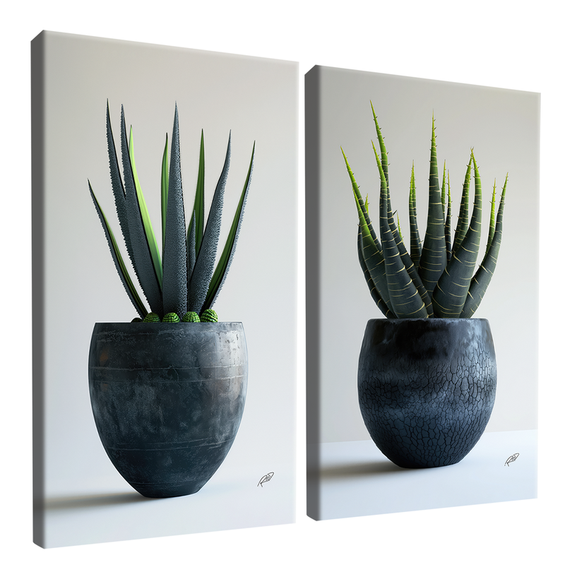 2 Pieces Succulents Canvas V1417