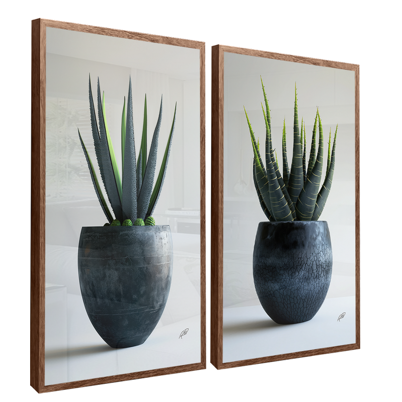 2 Pieces Succulents Canvas V1417