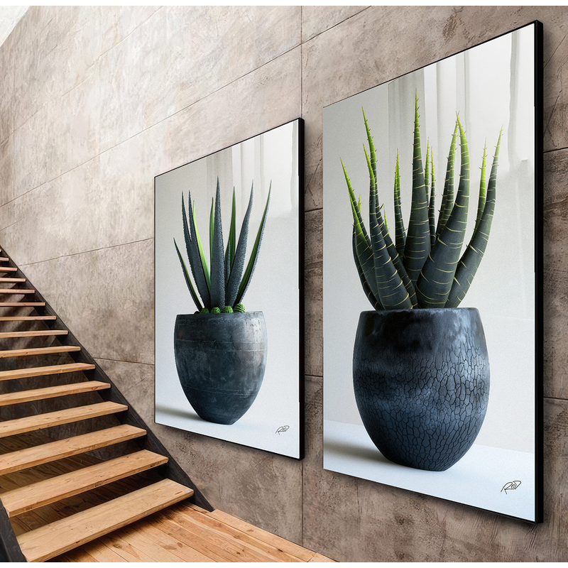 2 Pieces Succulents Canvas V1417