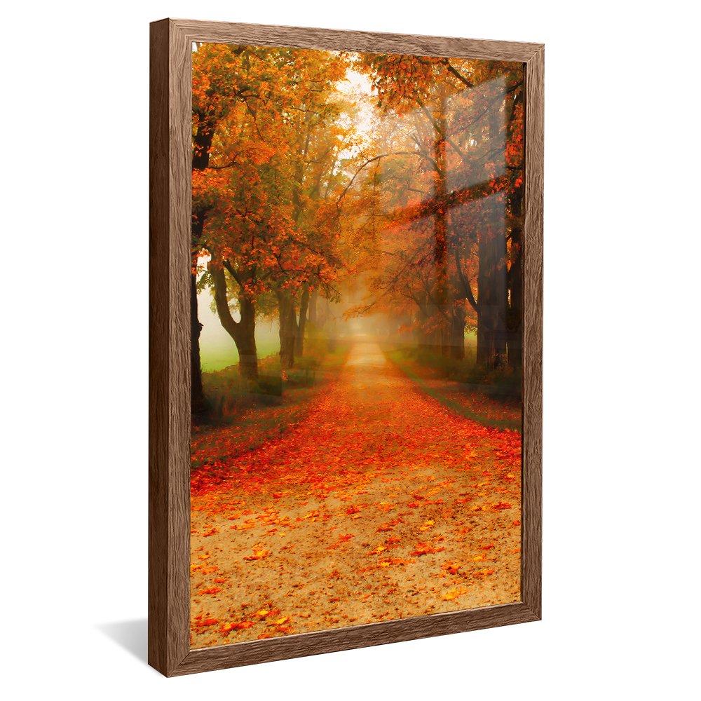 Autumn Landscape v145 Canvas