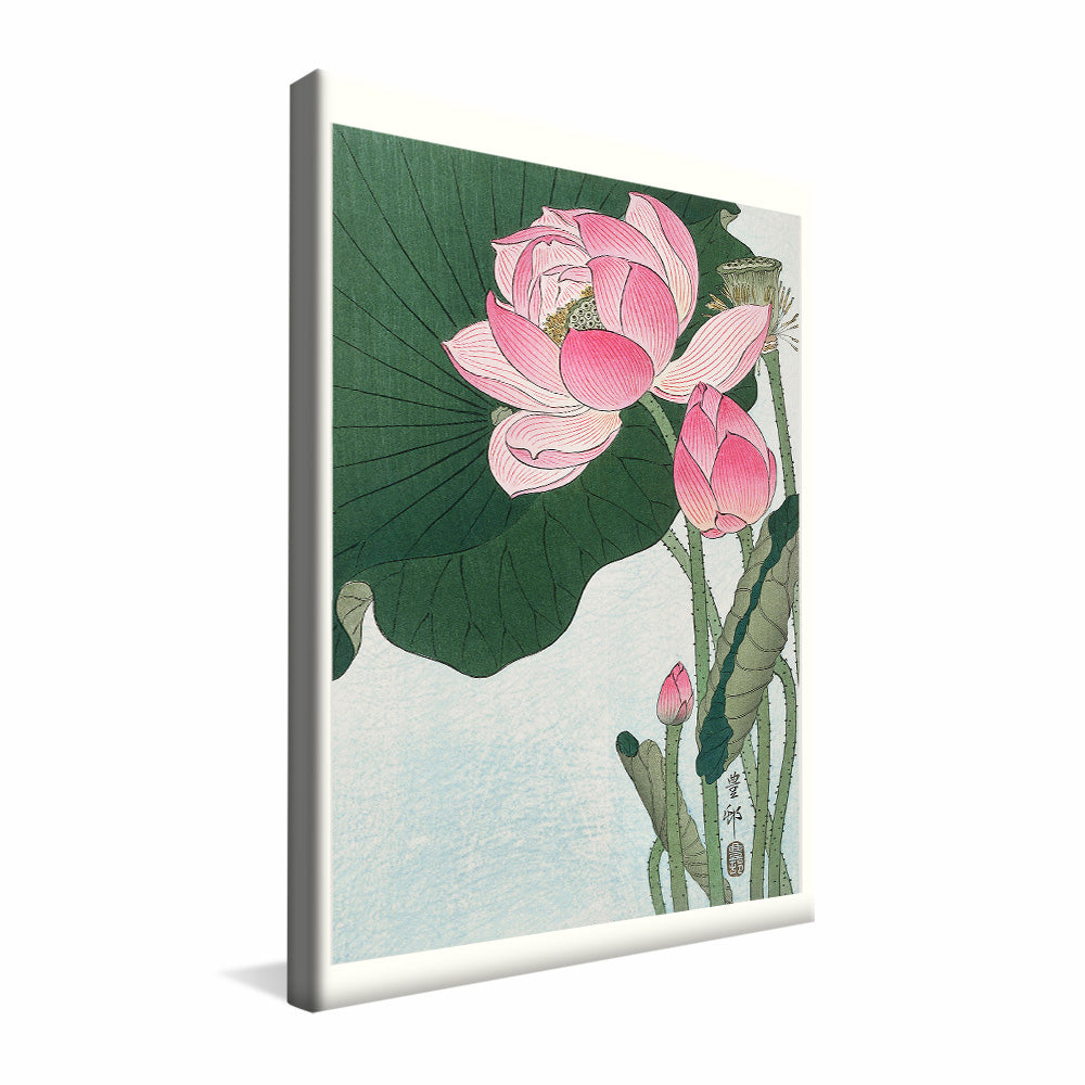 Ohara Koson Blooming Lotus Flowers V2406 Canvas
