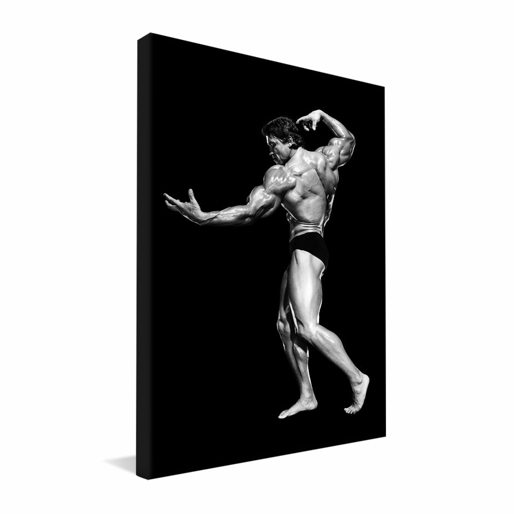 Arnold Schwarzenegger V2427 Canvas