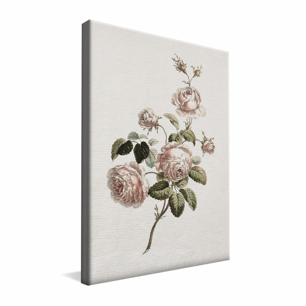 Vintage Floral V2491 Canvas