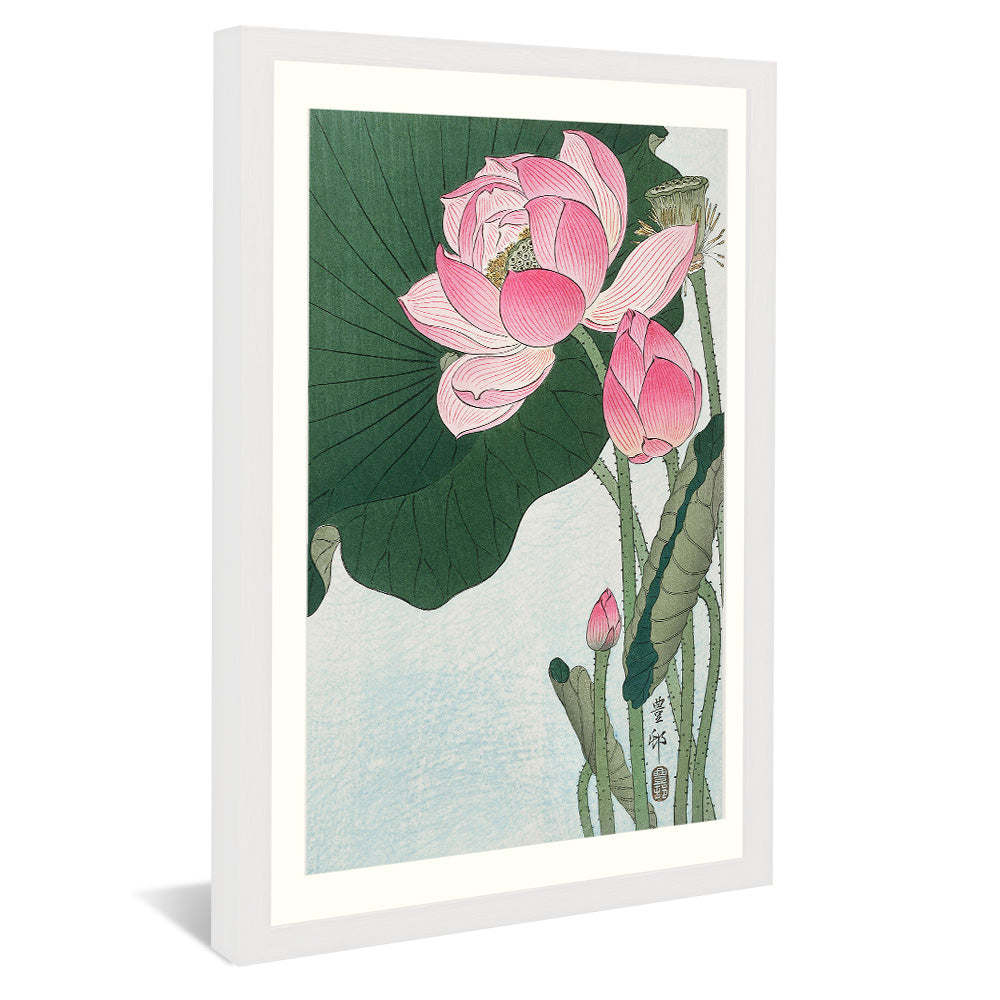 Ohara Koson Blooming Lotus Flowers V2406 Canvas