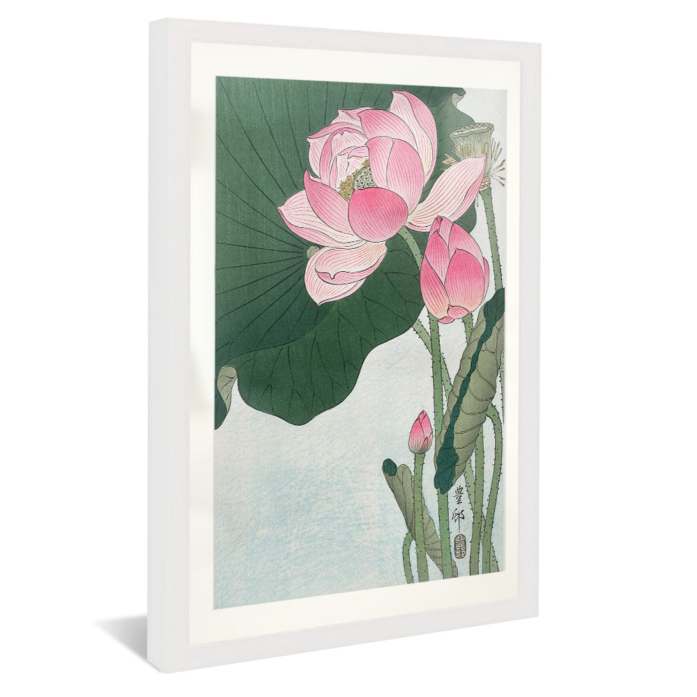 Ohara Koson Blooming Lotus Flowers V2406 Canvas