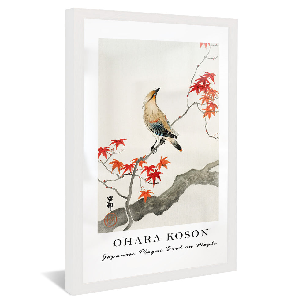Ohara Koson Japanese Plague Bird on Maple V2407 Canvas
