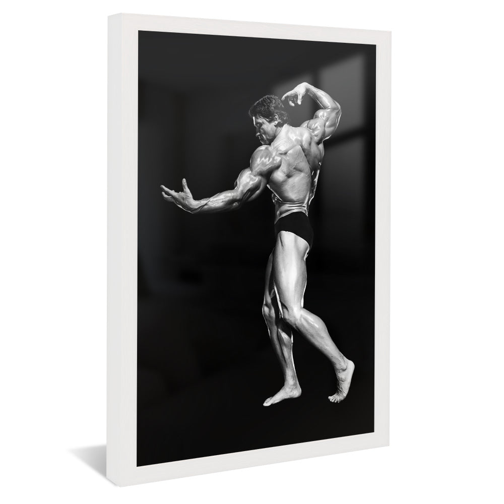 Arnold Schwarzenegger V2427 Canvas