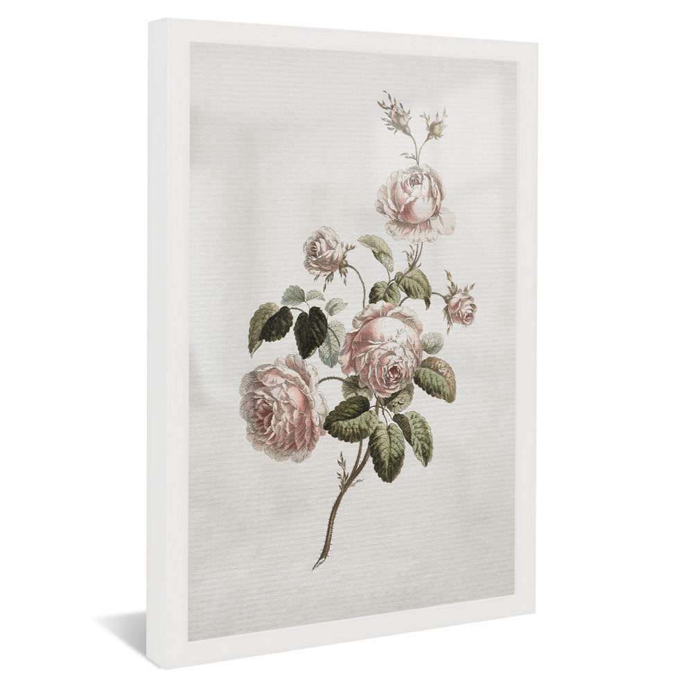 Vintage Floral V2491 Canvas