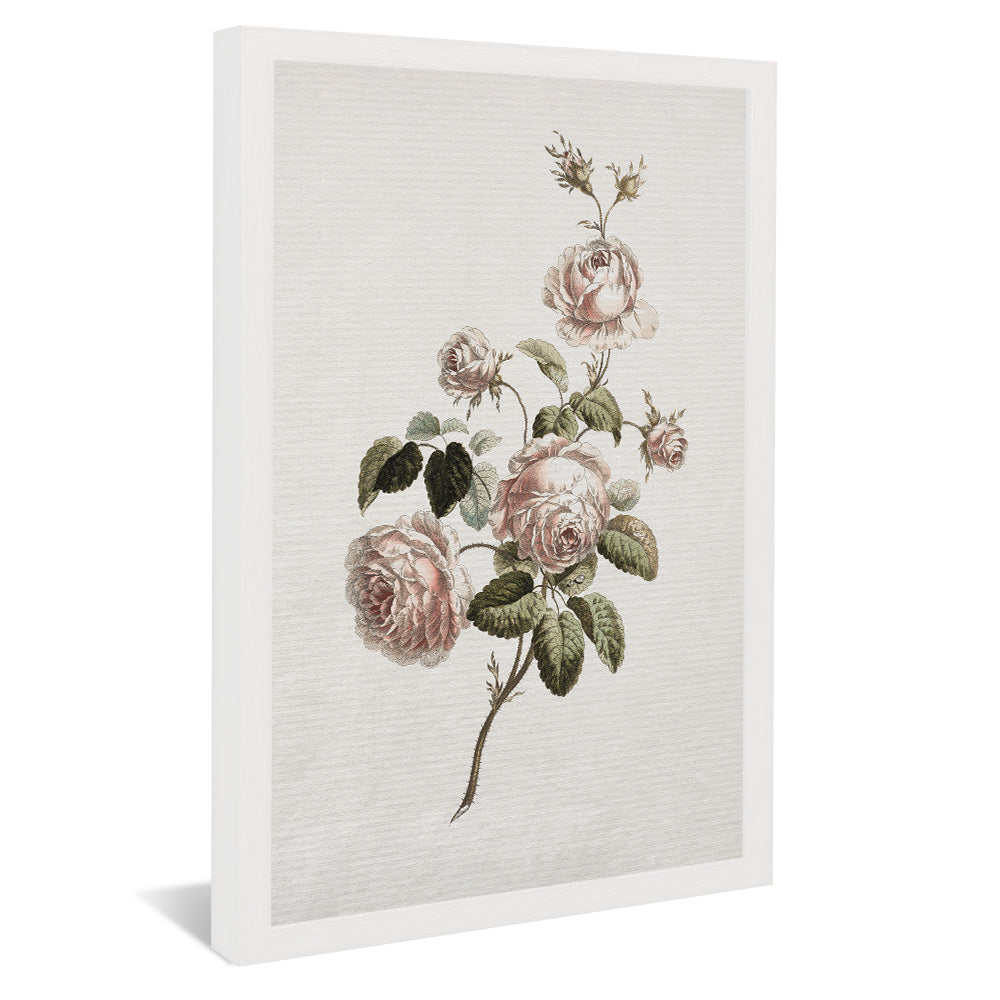 Vintage Floral V2491 Canvas