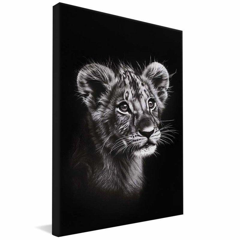 Baby Lion V1818 Canvas