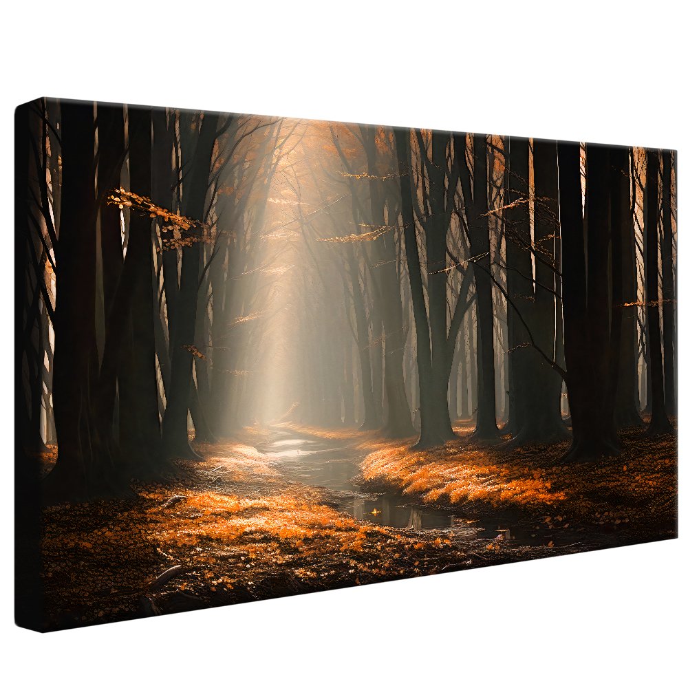 Beautiful Forest Canvas