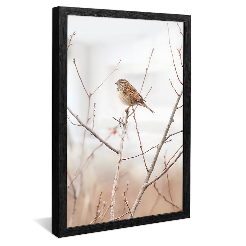 Bird in the Branch V1123 Canvas