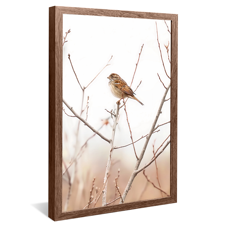 Bird in the Branch V1123 Canvas