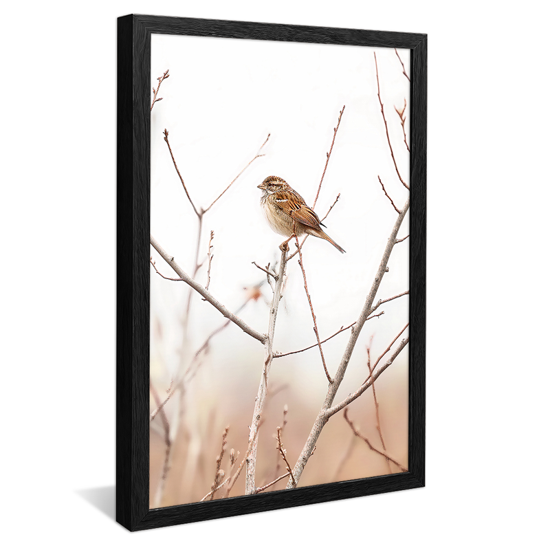 Bird in the Branch V1123 Canvas