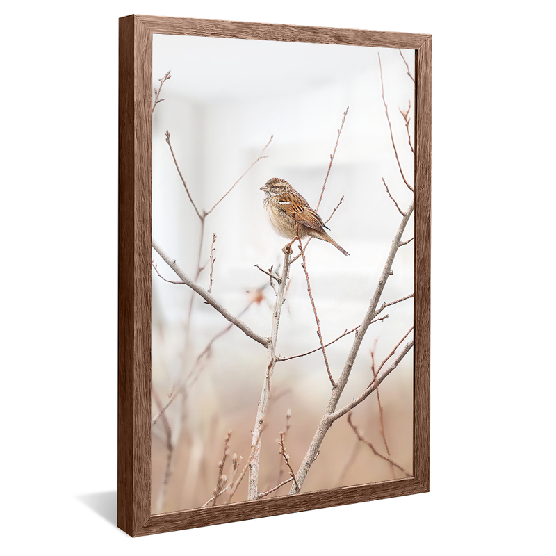 Bird in the Branch V1123 Canvas