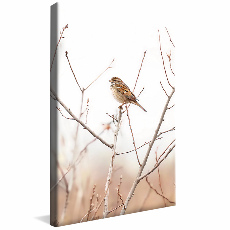 Bird in the Branch V1123 Canvas