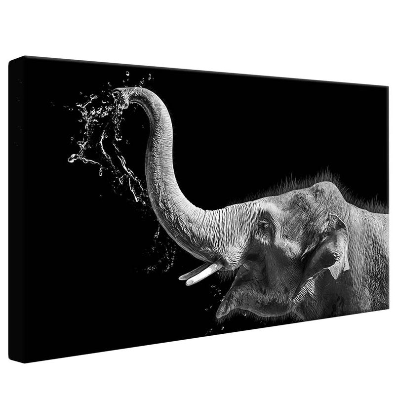 Black and White Elephant V1701 Canvas