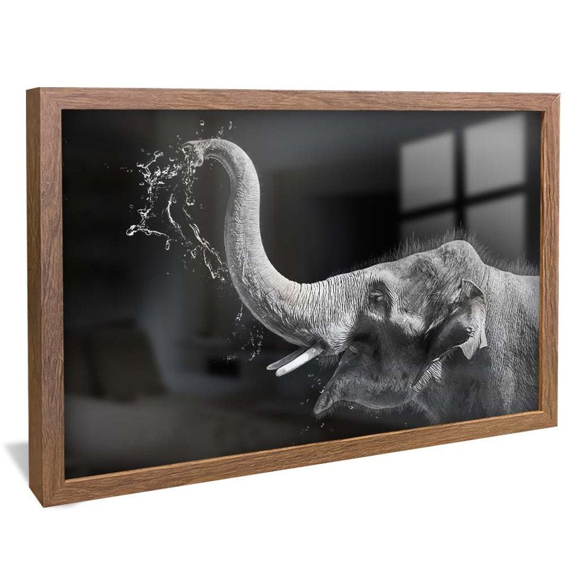 Black and White Elephant V1701 Canvas