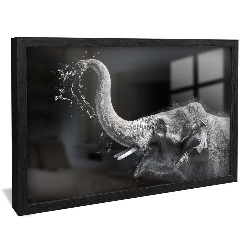 Black and White Elephant V1701 Canvas