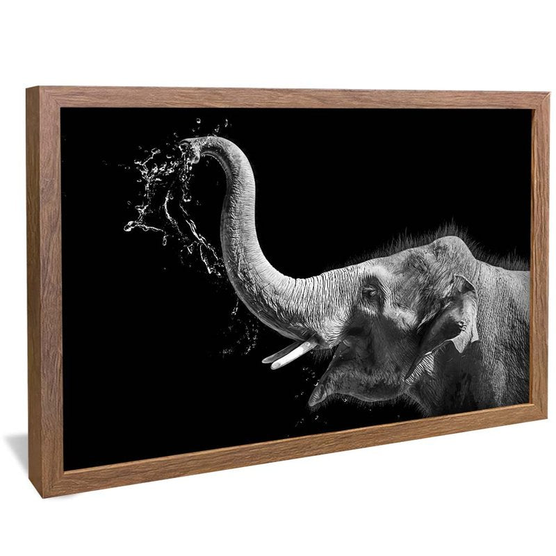 Black and White Elephant V1701 Canvas