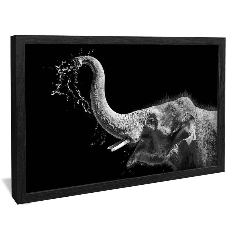 Black and White Elephant V1701 Canvas