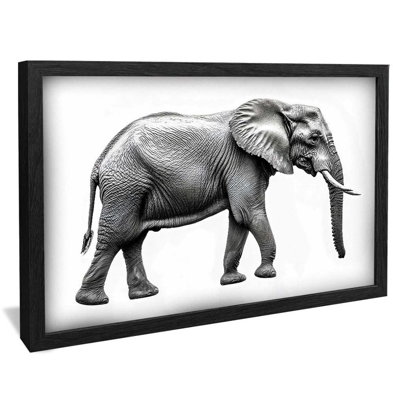 Black and White Elephant V2022 Canvas