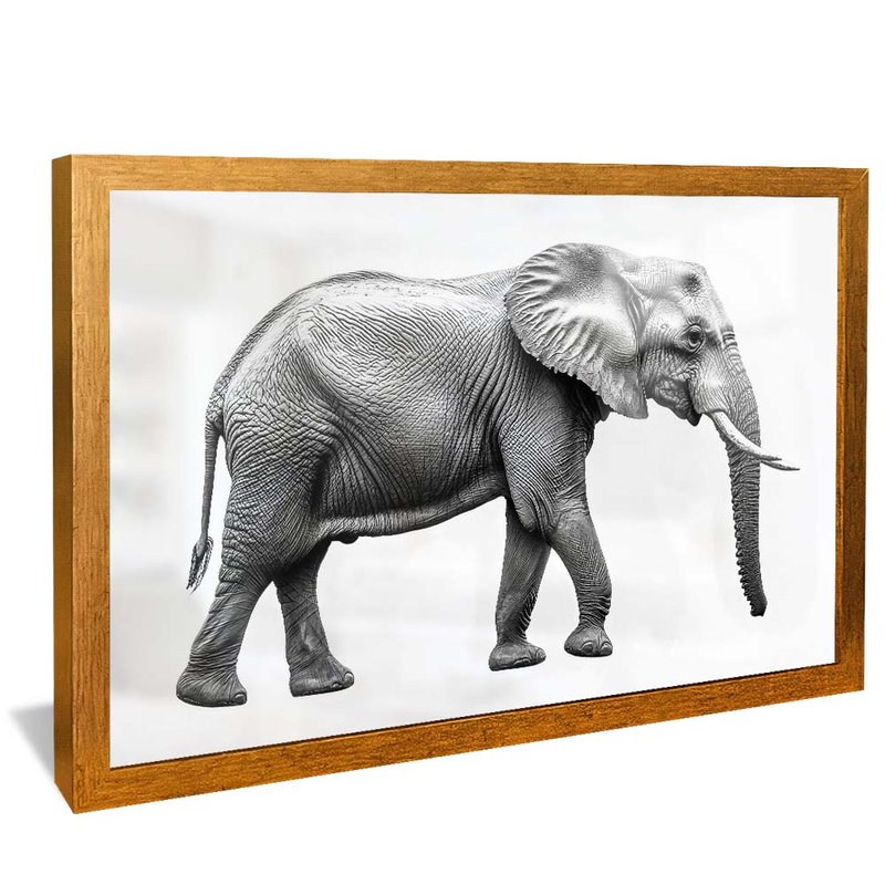 Black and White Elephant V2022 Canvas