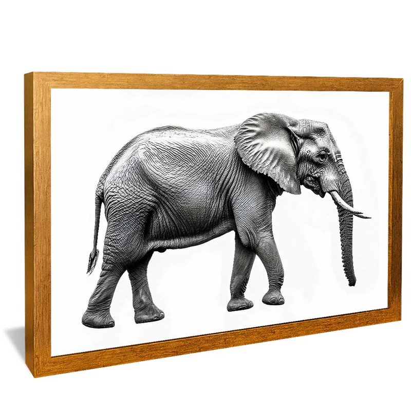 Black and White Elephant V2022 Canvas