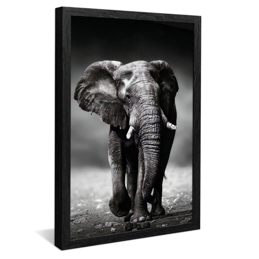 Black and White Elephant v01 Canvas