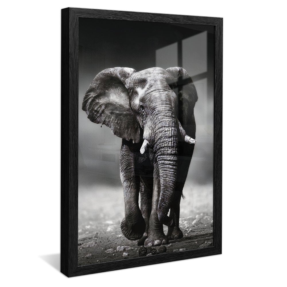 Black and White Elephant v01 Canvas
