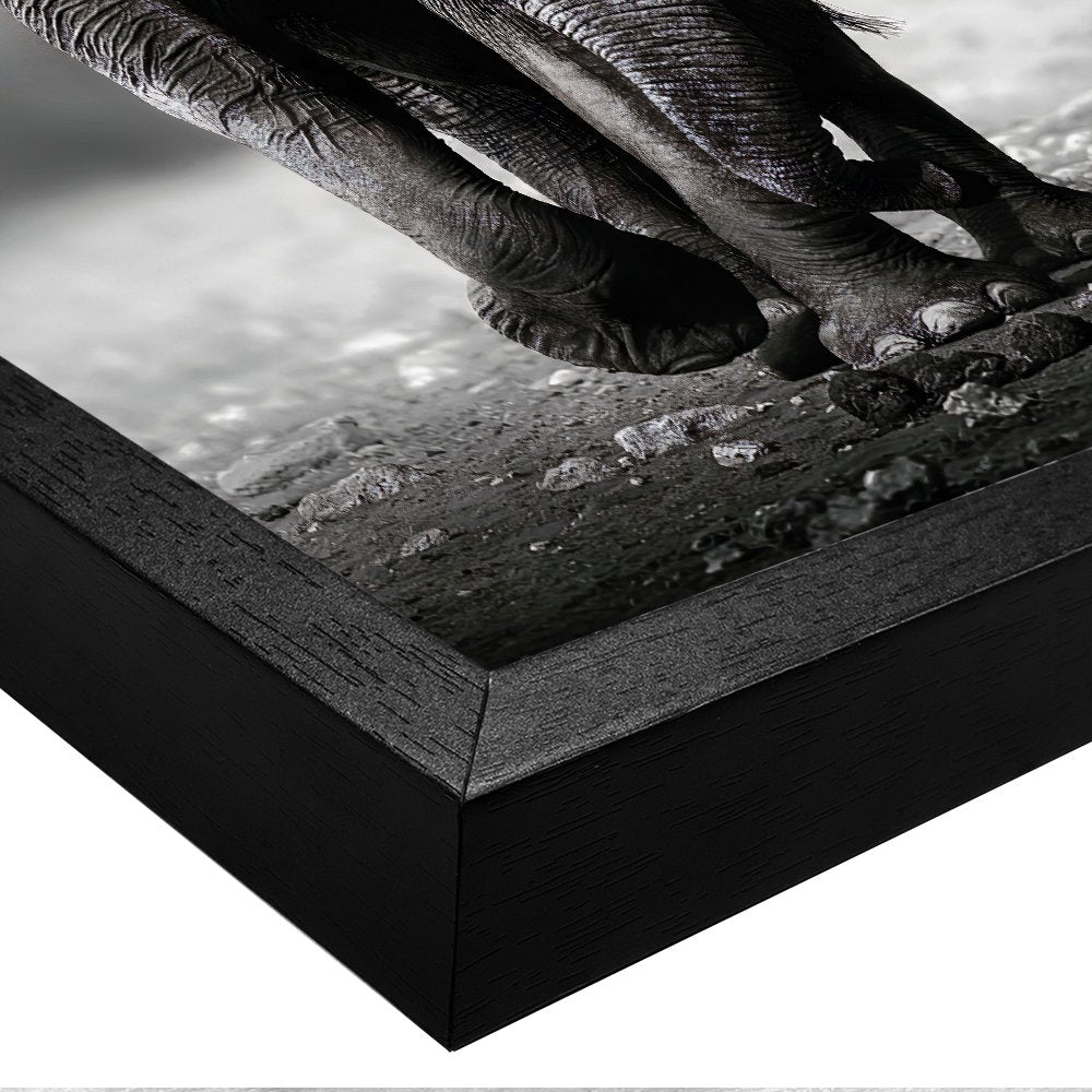 Black and White Elephant v01 Canvas