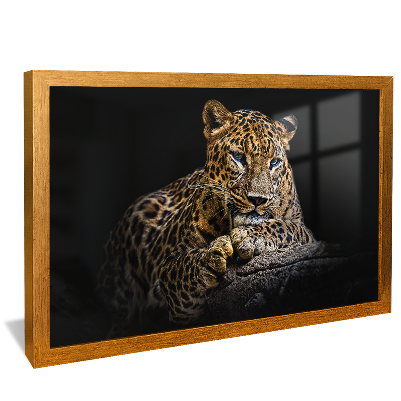 Blue Eyes V1424 Canvas