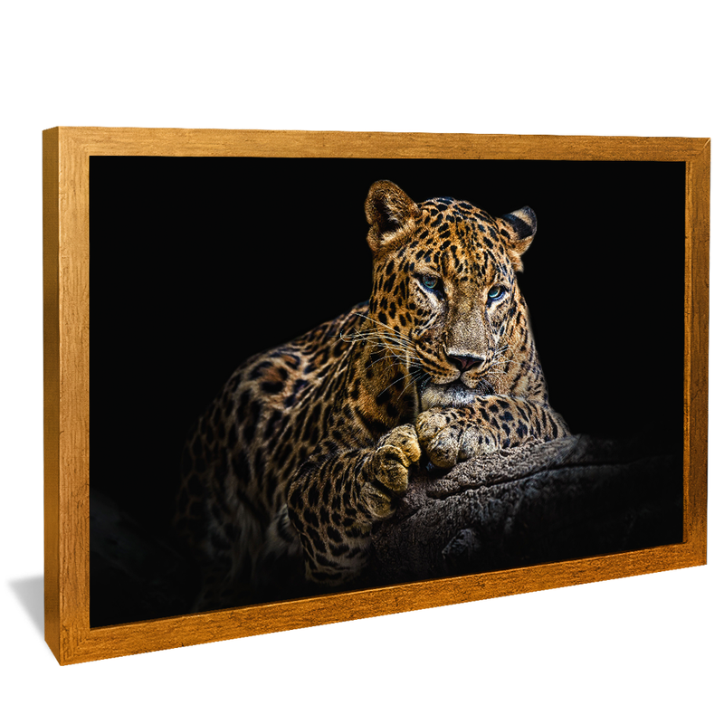 Blue Eyes V1424 Canvas