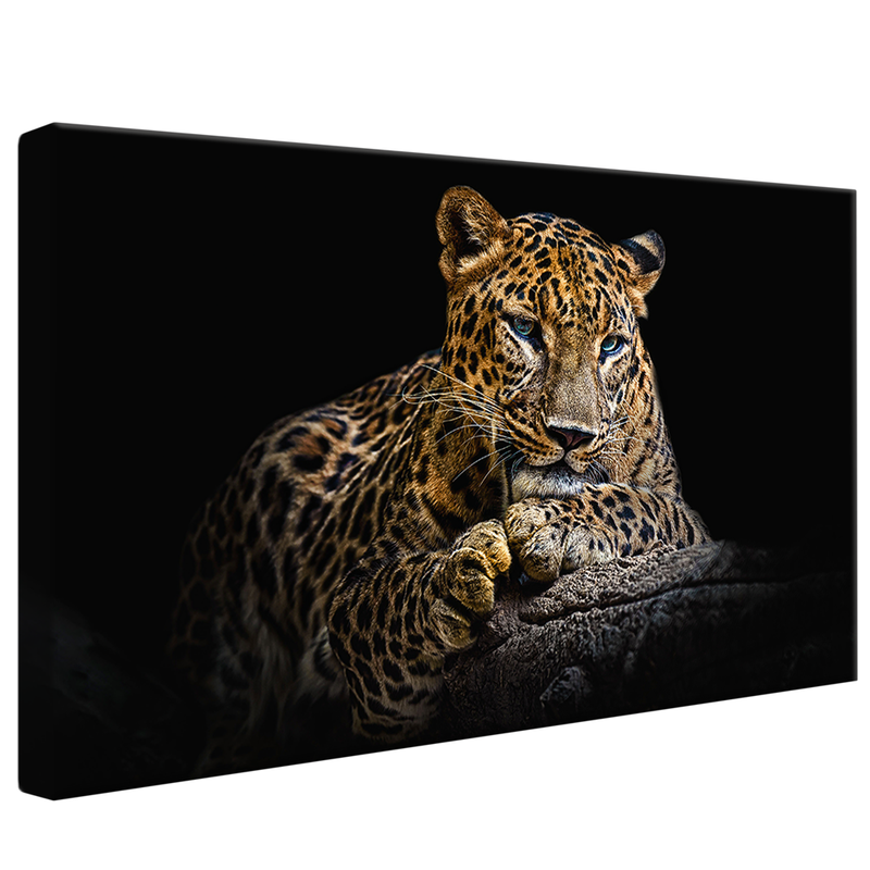 Blue Eyes V1424 Canvas