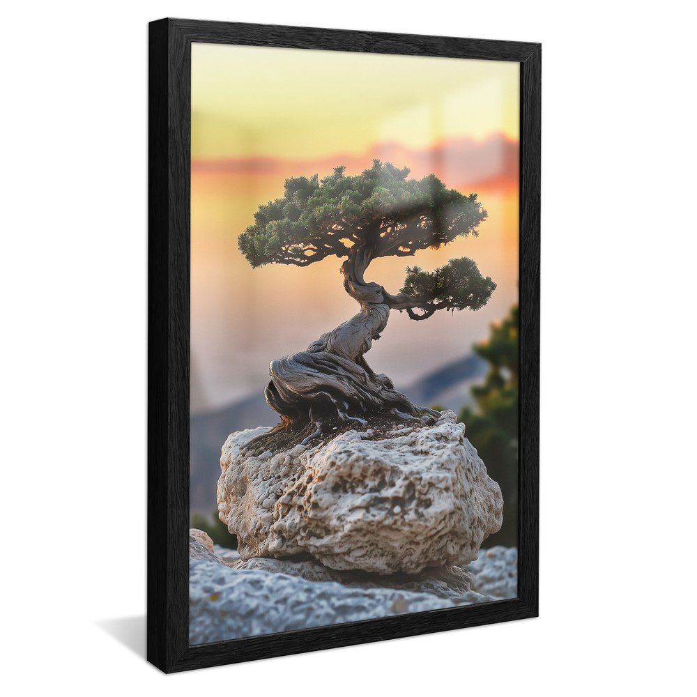 Bonsai on Stone Canvas