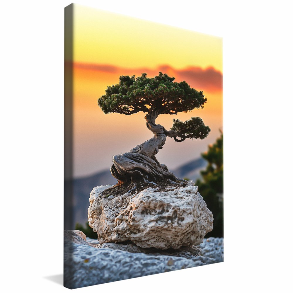 Bonsai on Stone Canvas