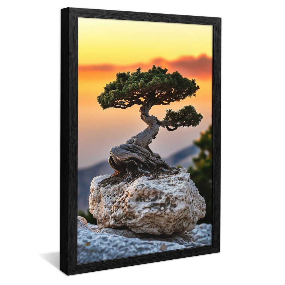 Bonsai on Stone Canvas