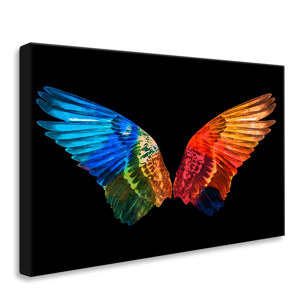 Colorful Wings Canvas