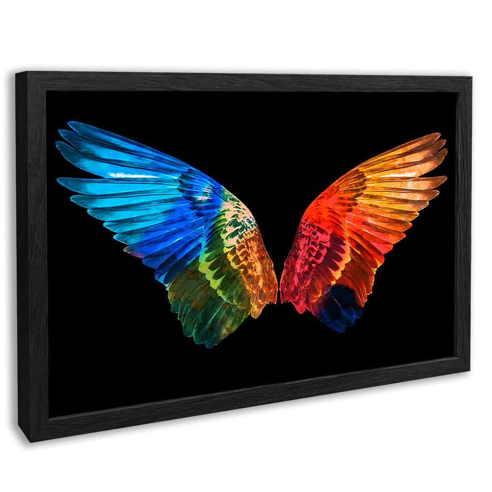 Colorful Wings Canvas