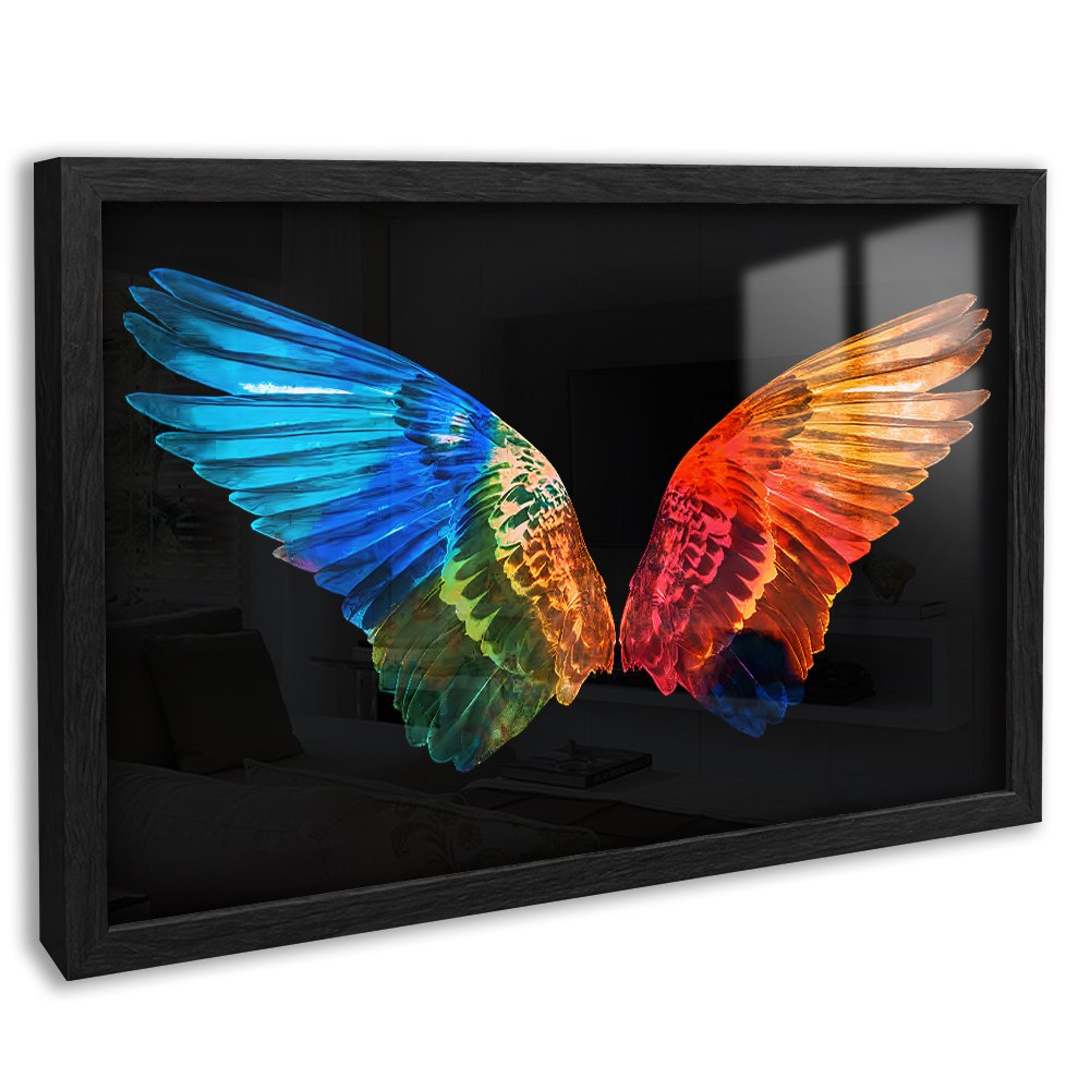 Colorful Wings Canvas