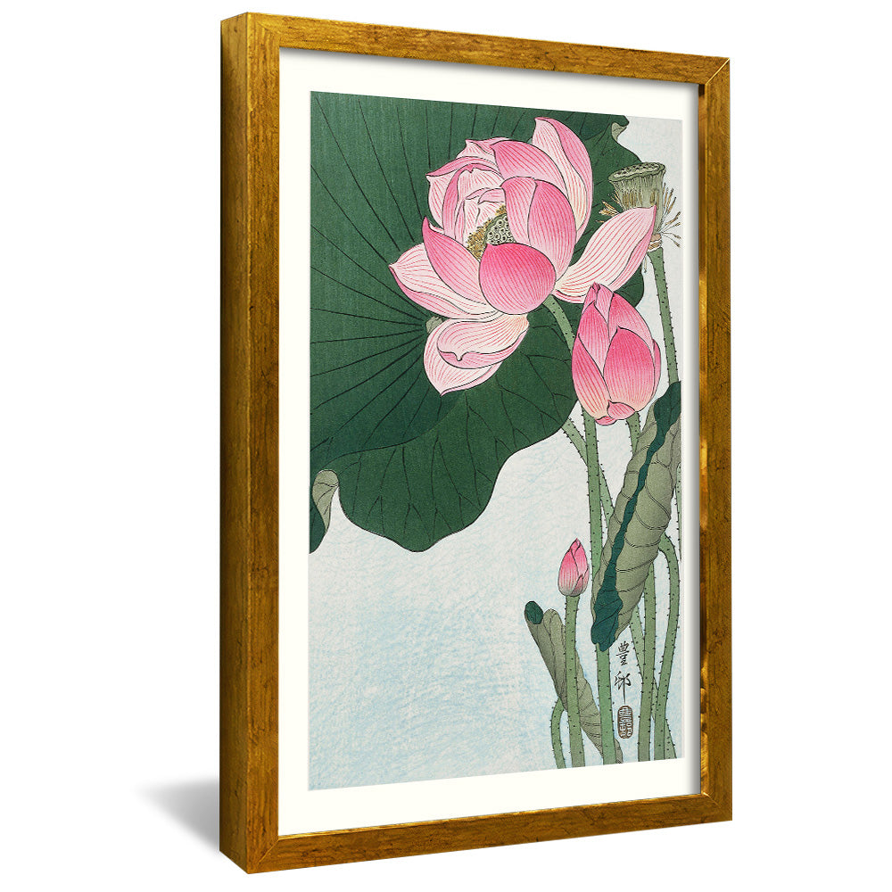 Ohara Koson Blooming Lotus Flowers V2406 Canvas