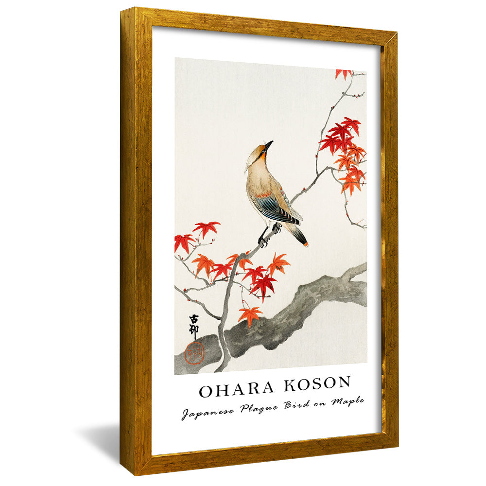 Ohara Koson Japanese Plague Bird on Maple V2407 Canvas
