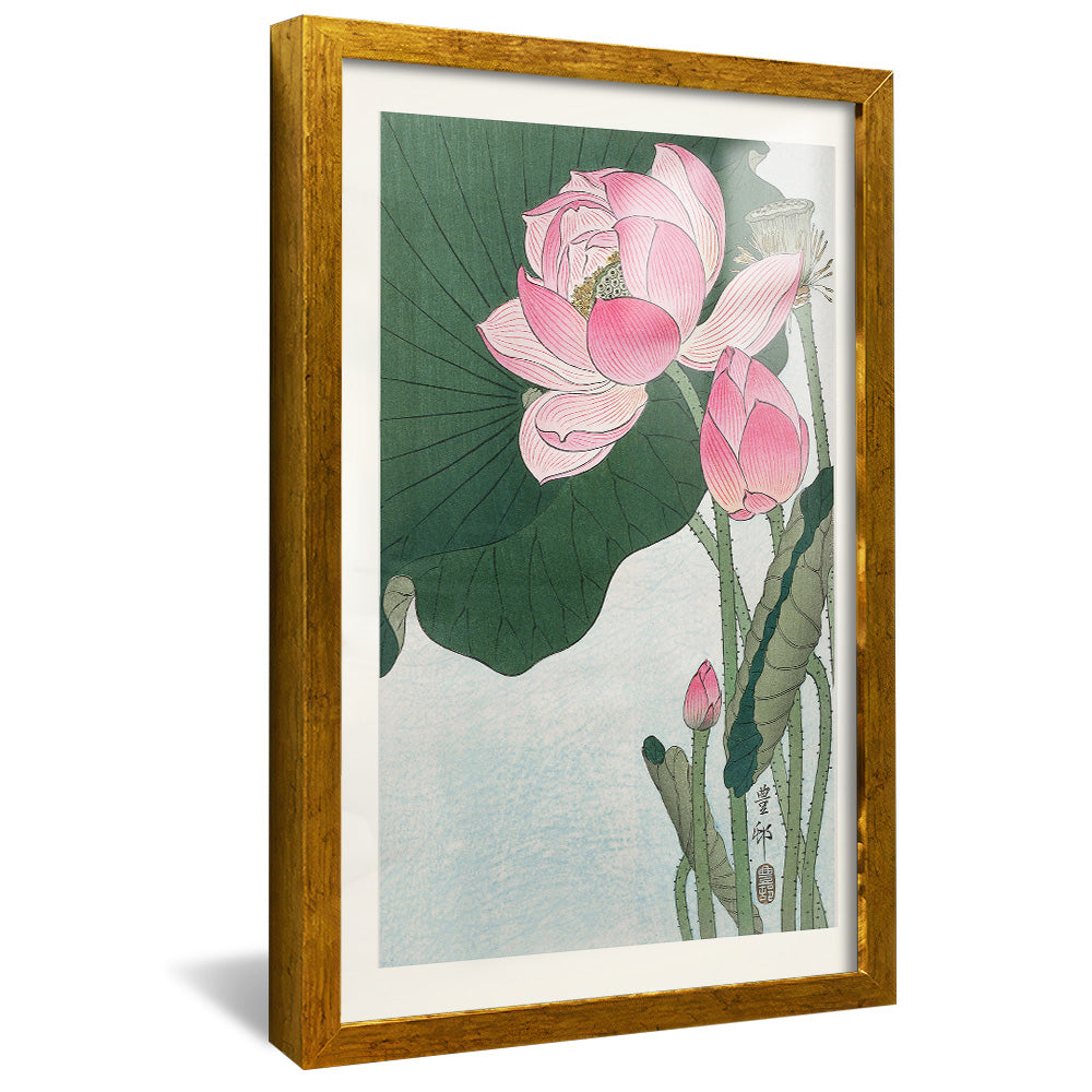 Ohara Koson Blooming Lotus Flowers V2406 Canvas