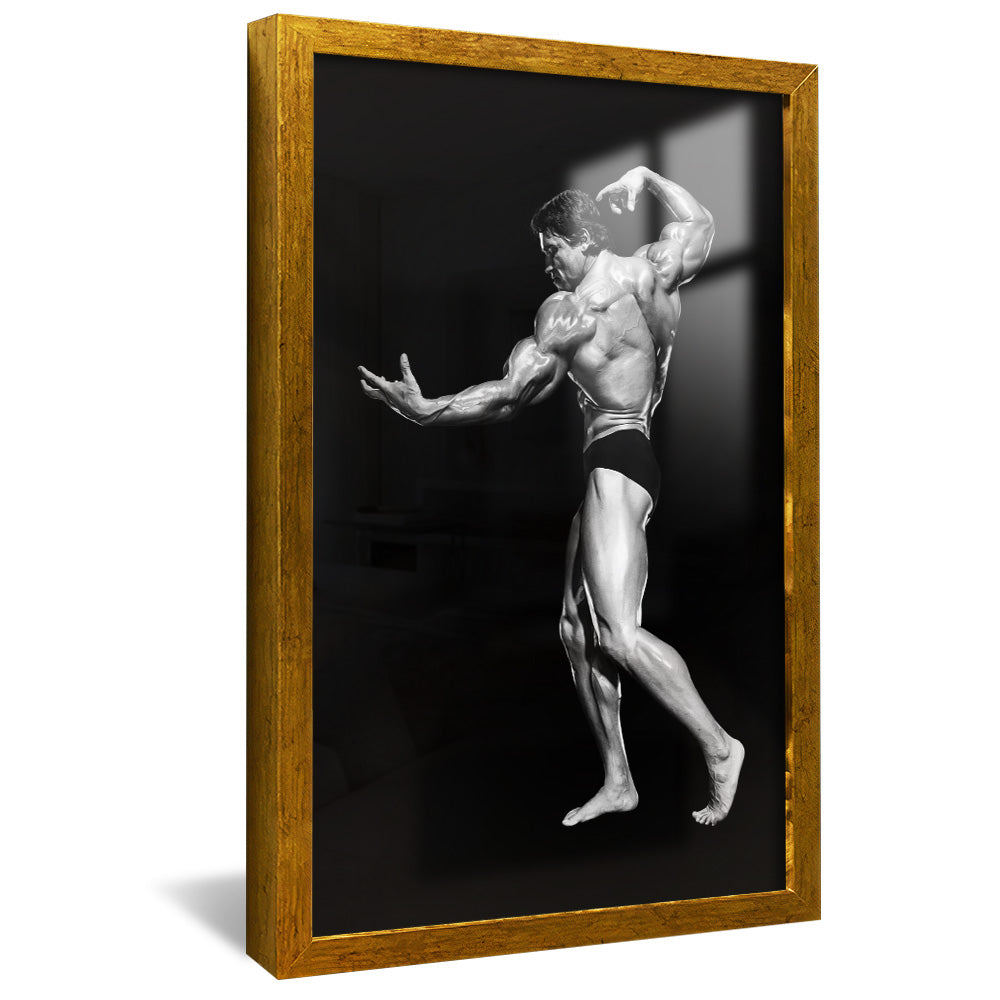 Arnold Schwarzenegger V2427 Canvas
