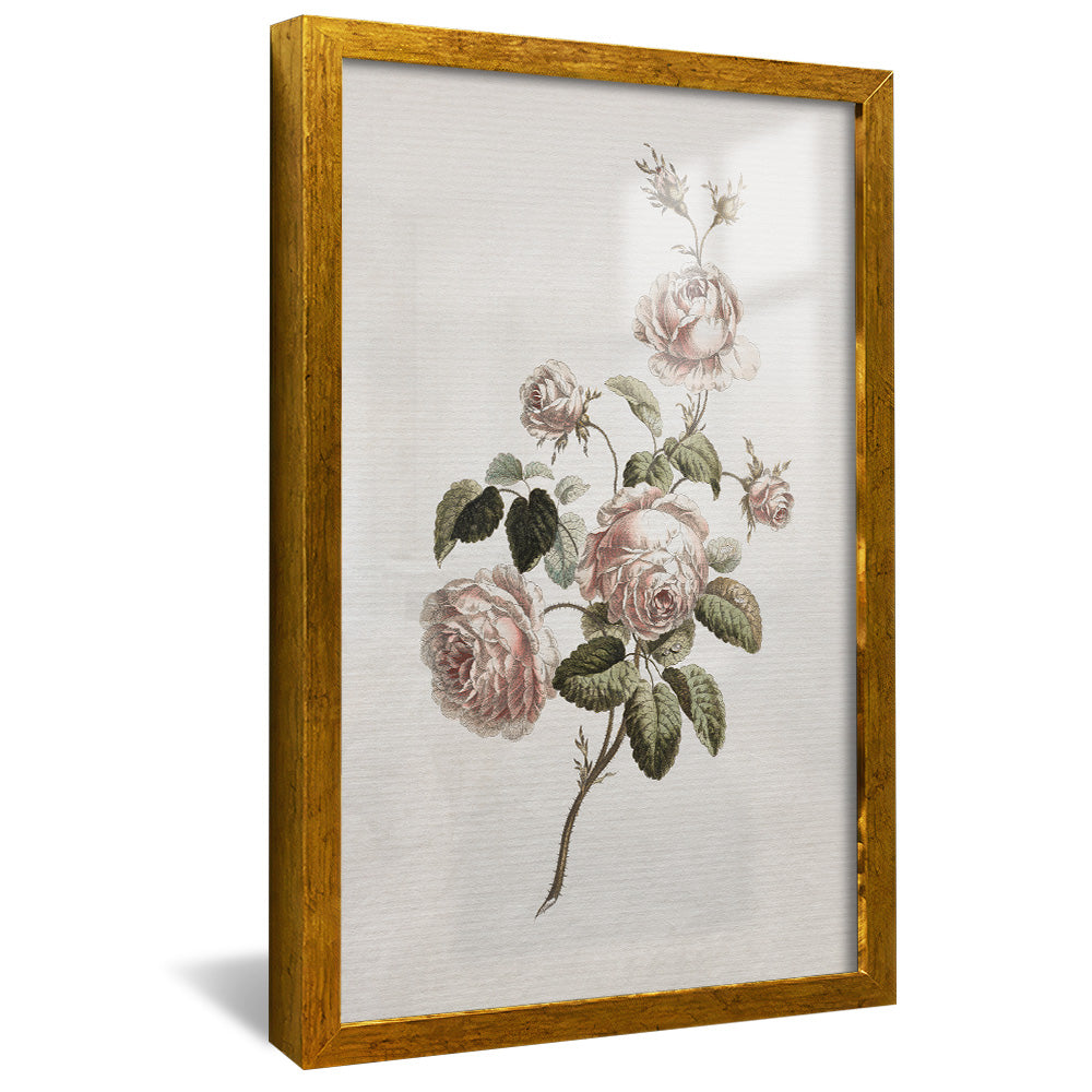 Vintage Floral V2491 Canvas