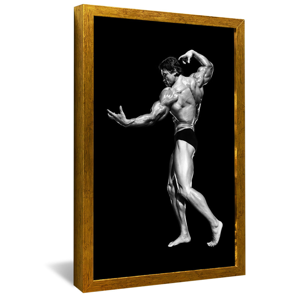 Arnold Schwarzenegger V2427 Canvas