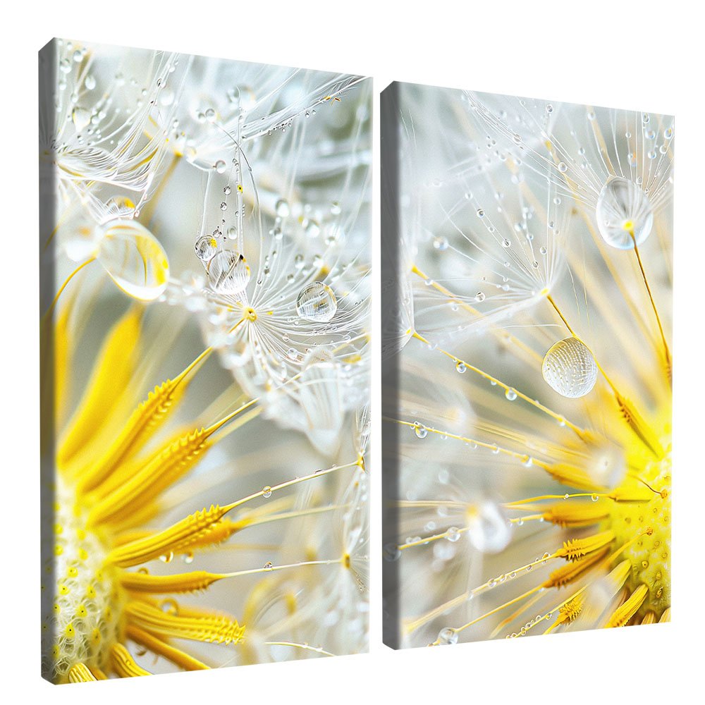 Dandelion and Water Drops V1963 Canvas